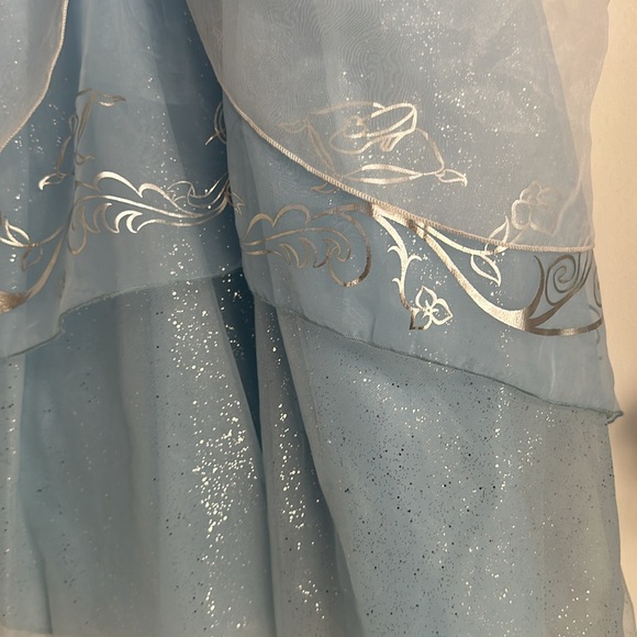 Cinderella Costume - Picture 9 of 10
